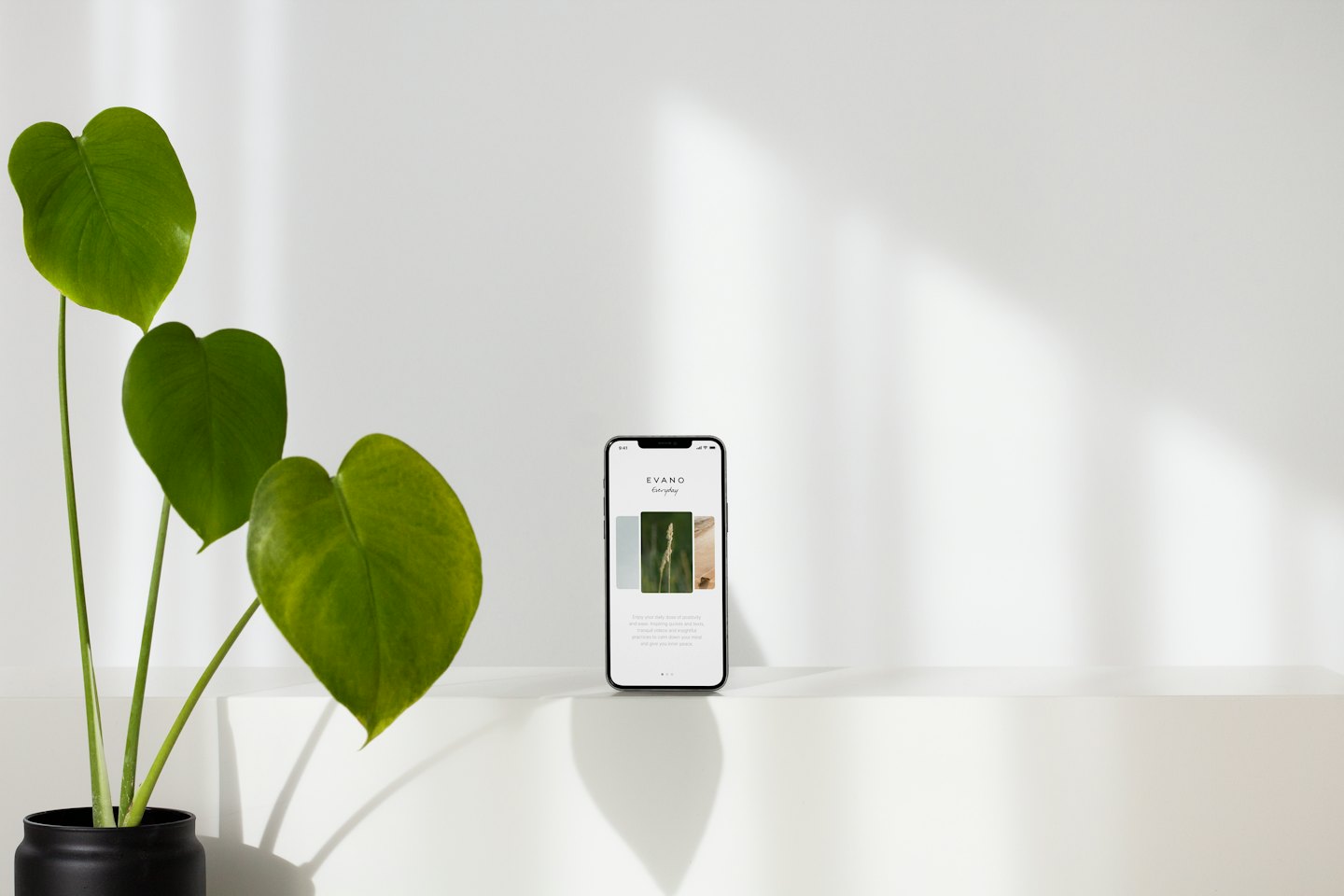 Smartphone che mostra un sito web accanto a una pianta in vaso.